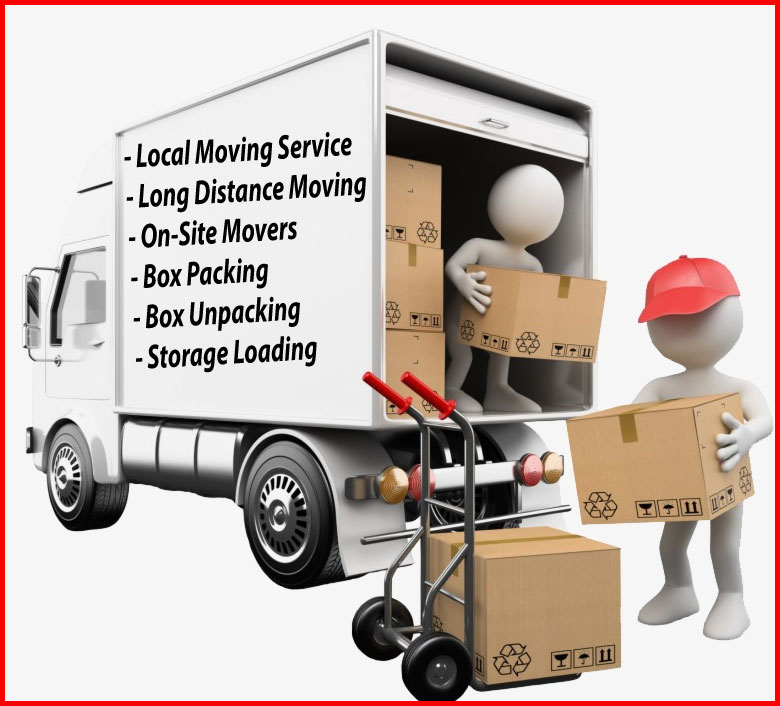Packers And Movers Noida Sector 49